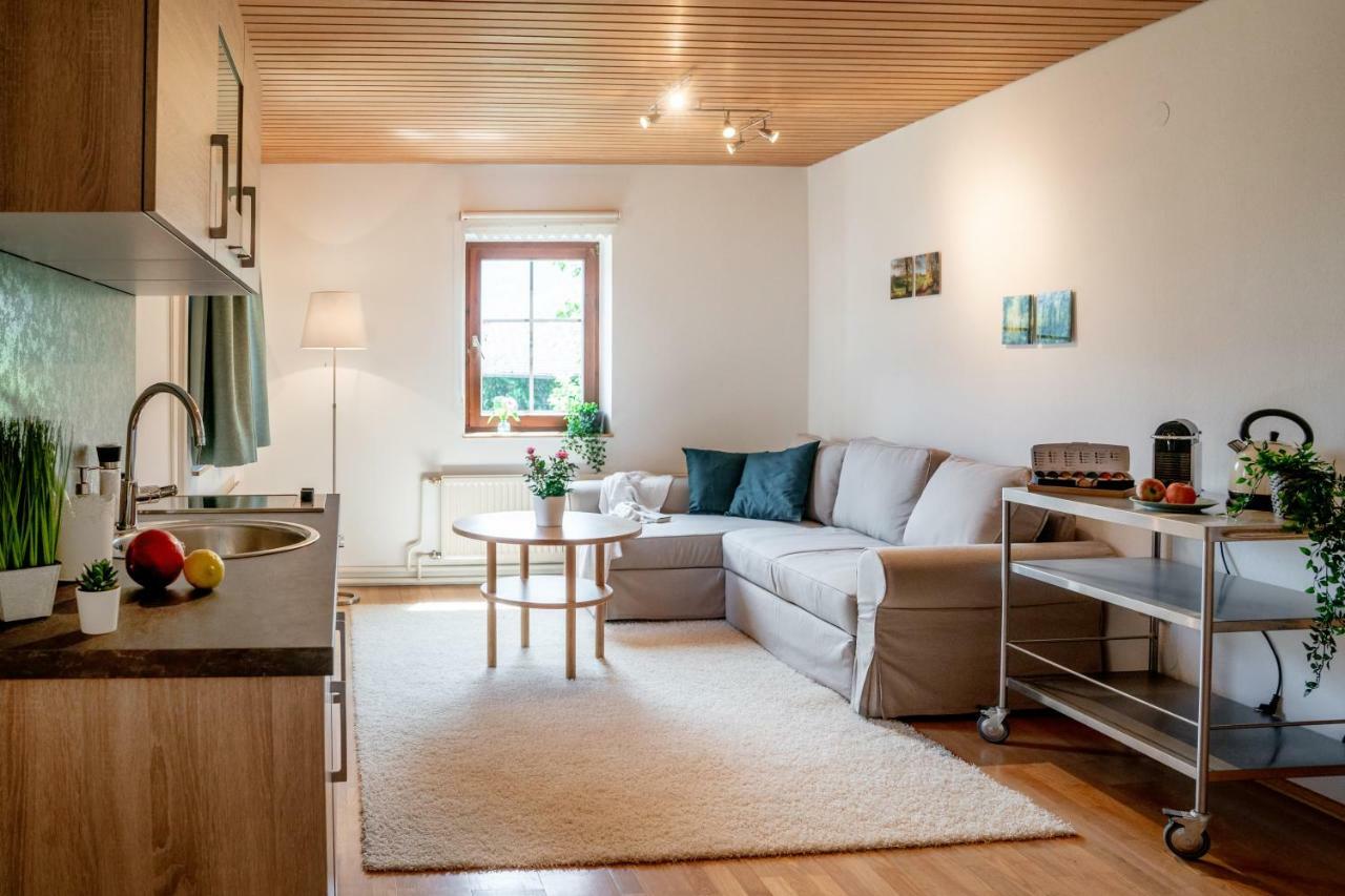 Lakeview Apartment Hallstatt